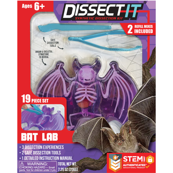 Kit de Disección - Murciélago