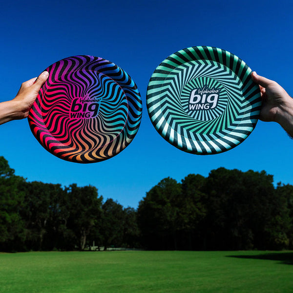 Disco Volador Bigwing Arcoiris