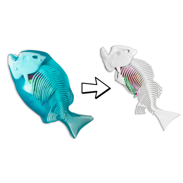 Kit de Disección - Piraña