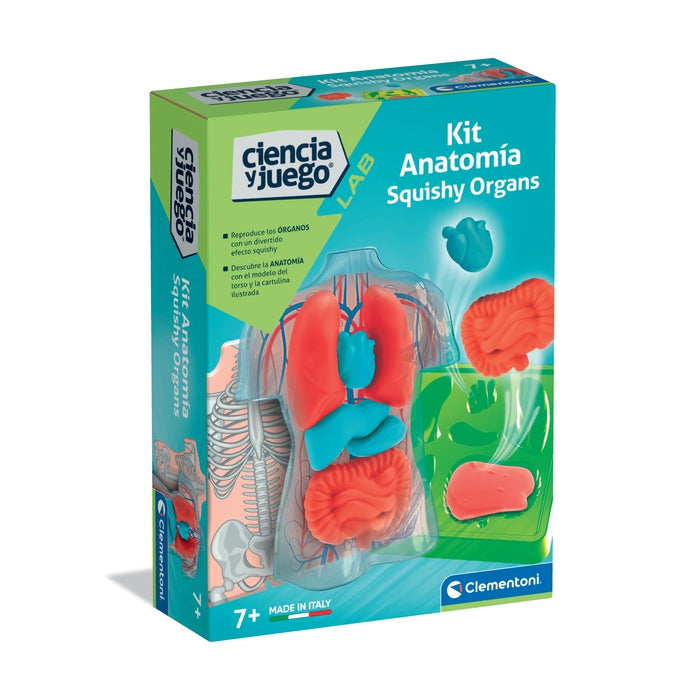 Kit de Anatomía de Organos - Squishy