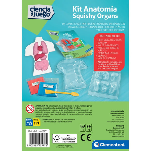 Kit de Anatomía de Organos - Squishy
