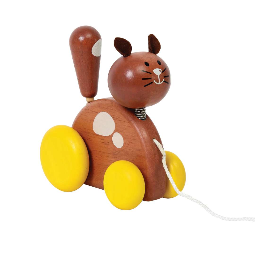 Gato - Mascota de Jalar