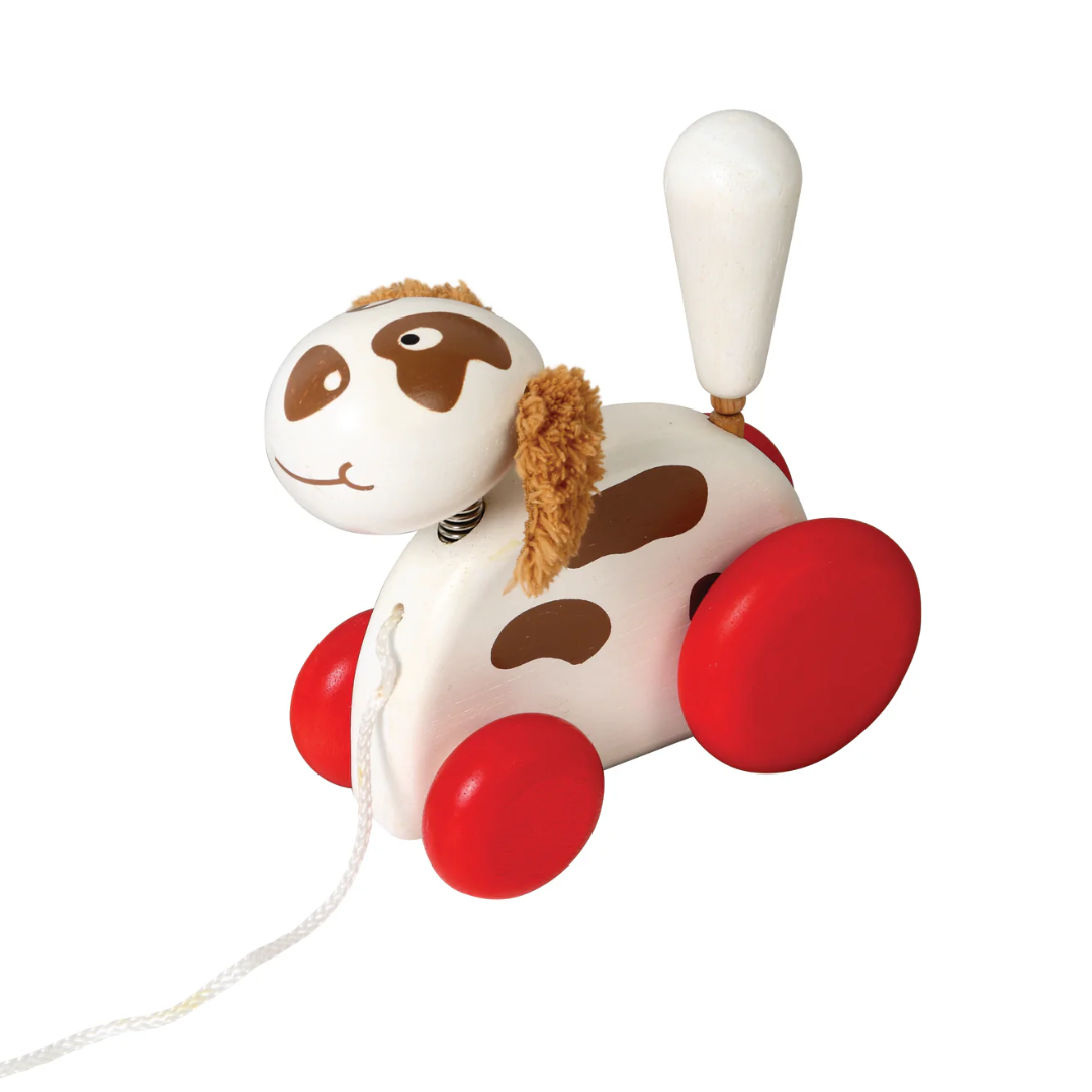 Mascota de Jalar Perro