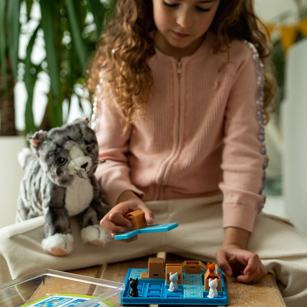 Cats and Boxes