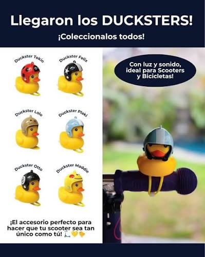 Ducksters para Scooter