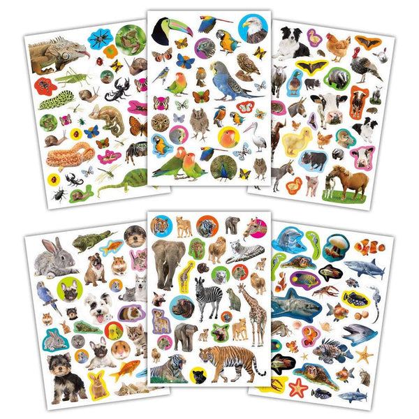 Stickers fotográficos - Animales