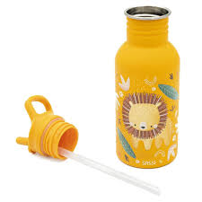 Botella de Acero Inoxidable  500 ml - León