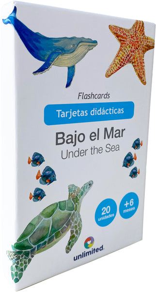 Flashcard El Mar